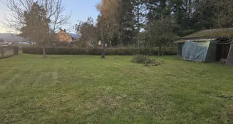 von_poll_real_estate_property_25037054_image_23