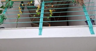 von_poll_real_estate_property_22037076_image_6