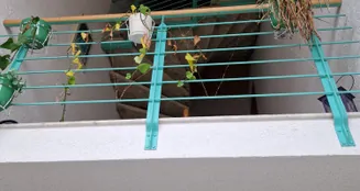 von_poll_real_estate_property_22037076_image_6