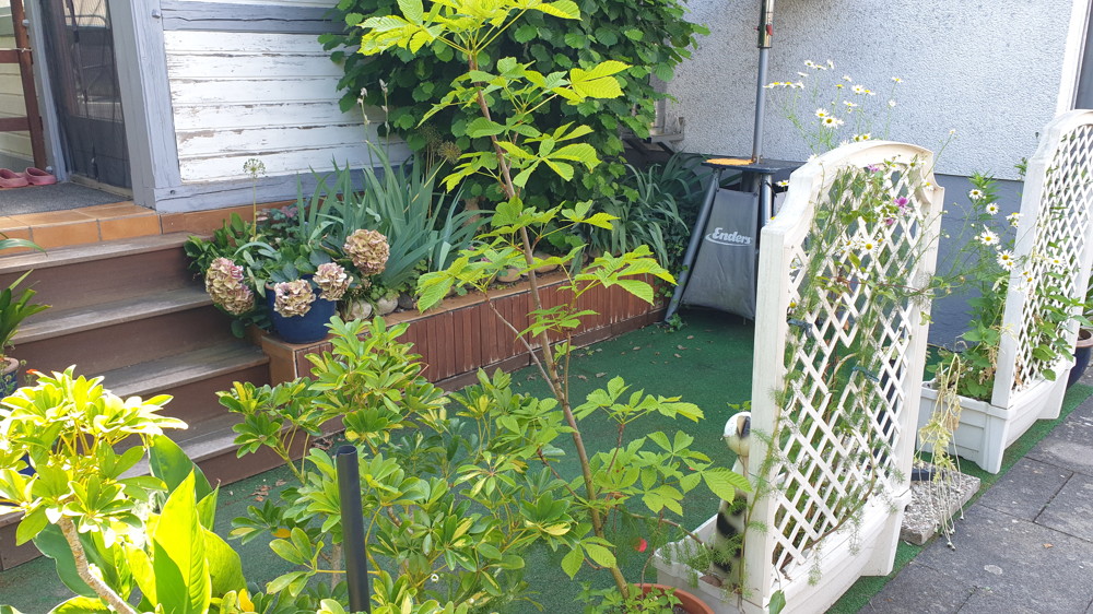 Terrasse