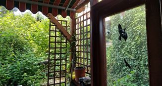 von_poll_real_estate_property_24037028_image_4
