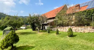 von_poll_real_estate_property_24037049_image_3