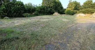 von_poll_real_estate_property_21037007_image_12