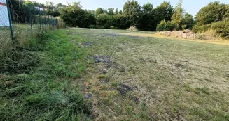 von_poll_real_estate_property_21037007_image_13