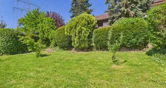 von_poll_real_estate_property_25007027_image_15