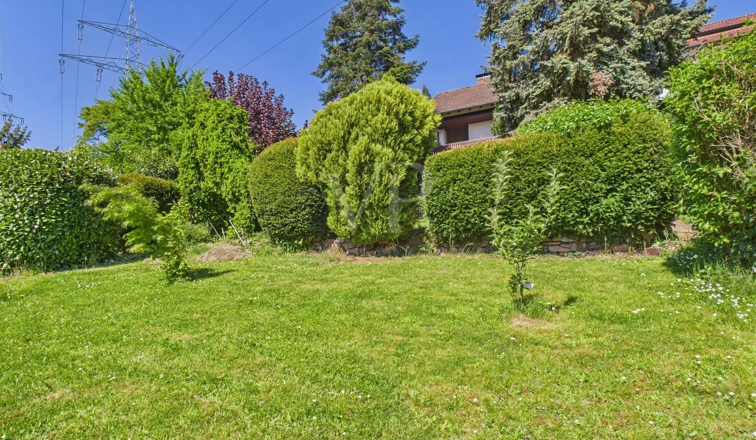 Grün soweit das Auge reicht...