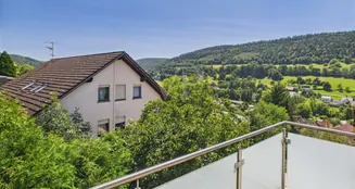 von_poll_real_estate_property_25007041_image_31