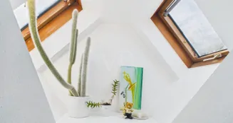 von_poll_real_estate_property_25007028_image_26