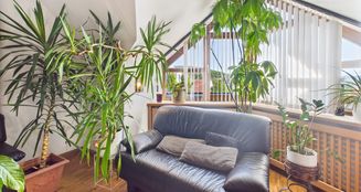 von_poll_real_estate_property_25007028_image_15