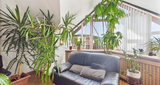 von_poll_real_estate_property_25007028_image_15