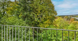 von_poll_real_estate_property_25007055_image_9