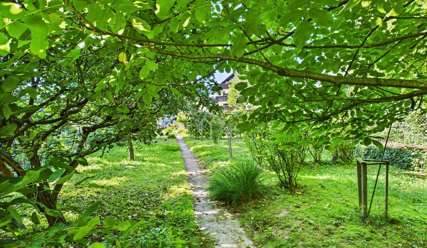grüne Blickachsen
