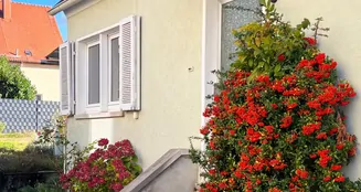 von_poll_real_estate_property_25007059_image_0