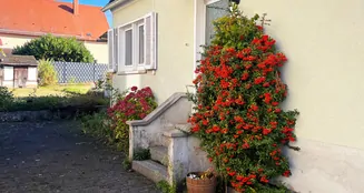 von_poll_real_estate_property_25007059_image_1