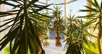 von_poll_real_estate_property_26007001_image_0