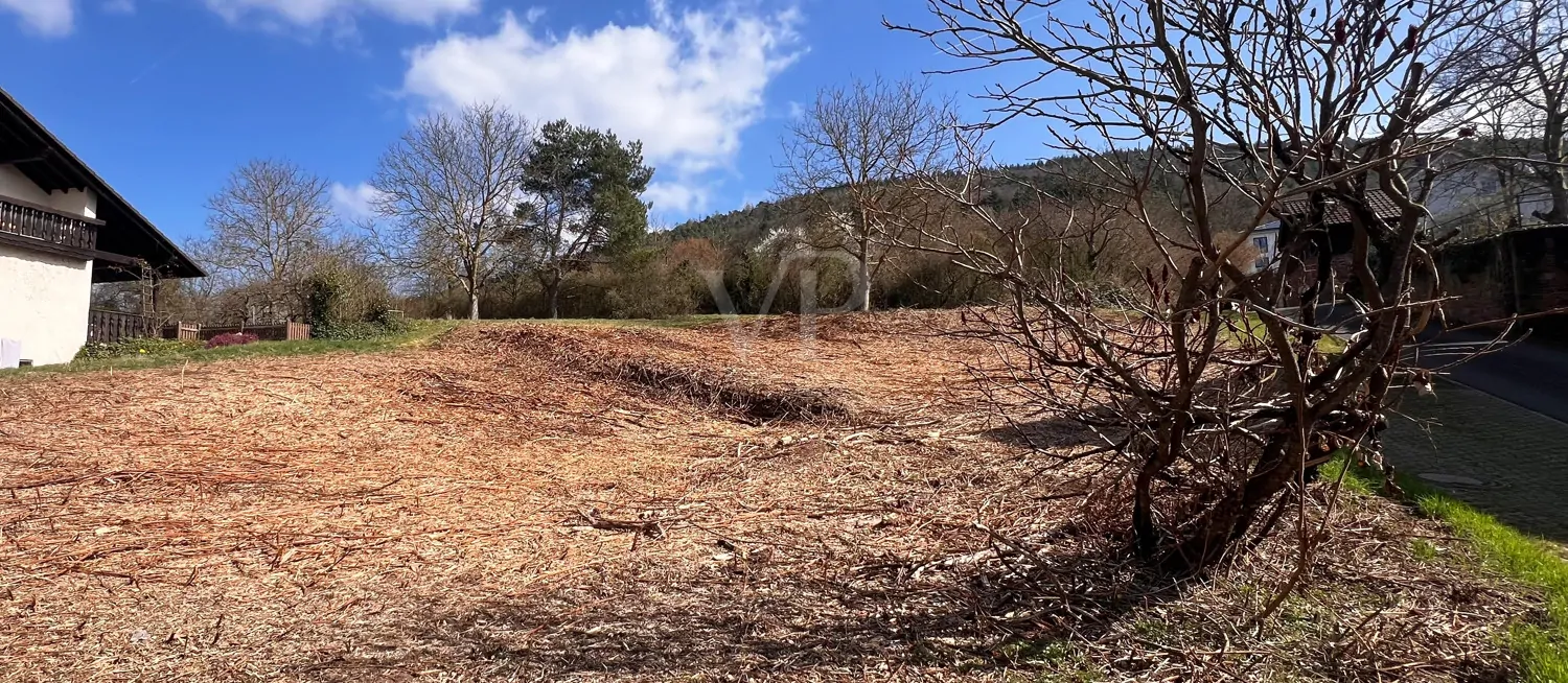 Seltenes Eckgrundstück an der Bebauungsgrenze zur individuellen Gestaltung