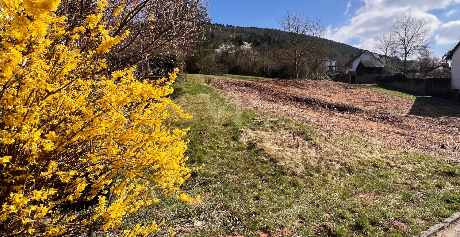 Herzlich Willkommen!