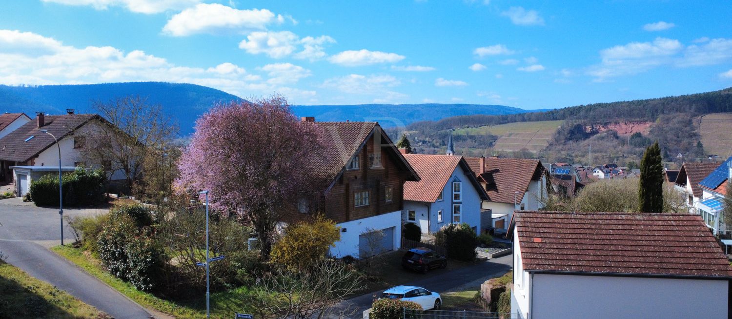 Ausblick