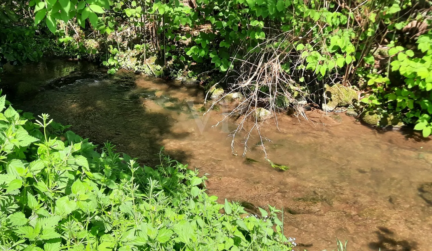 idyllischer Bachlauf