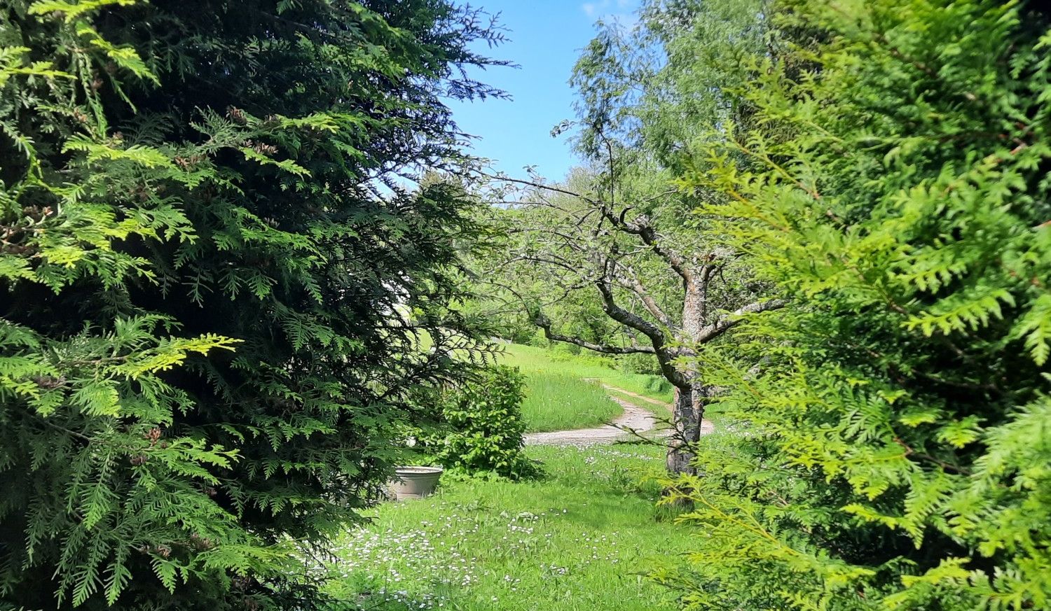 Natur pur