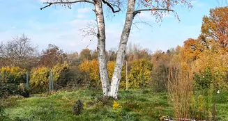 von_poll_real_estate_property_24007010_image_10