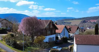 von_poll_real_estate_property_24007014_image_2