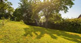 von_poll_real_estate_property_24007031_image_15