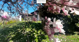 von_poll_real_estate_property_24007031_image_0