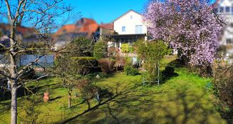 von_poll_real_estate_property_25007002_image_16