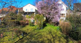 von_poll_real_estate_property_25007002_image_10