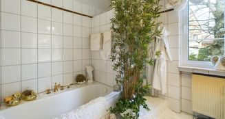 von_poll_real_estate_property_25007002_image_9