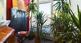 von_poll_real_estate_property_24007057_image_10