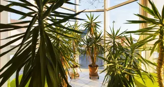 von_poll_real_estate_property_24007057_image_14