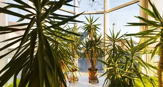 von_poll_real_estate_property_24007057_image_0