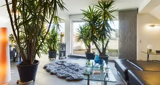 von_poll_real_estate_property_24007057_image_9