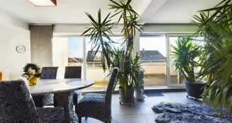 von_poll_real_estate_property_24007057_image_3