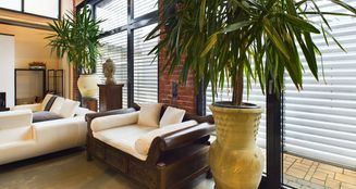 von_poll_real_estate_property_25007007_image_10