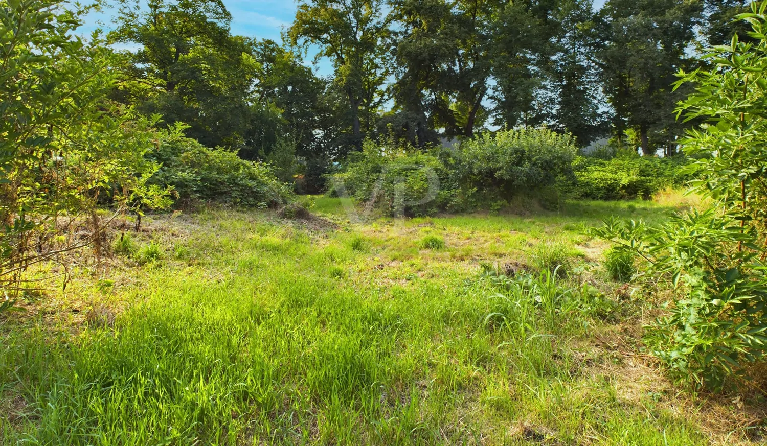 Exklusives Doppelhaus in Bestlage – Wohnen am Schönbusch