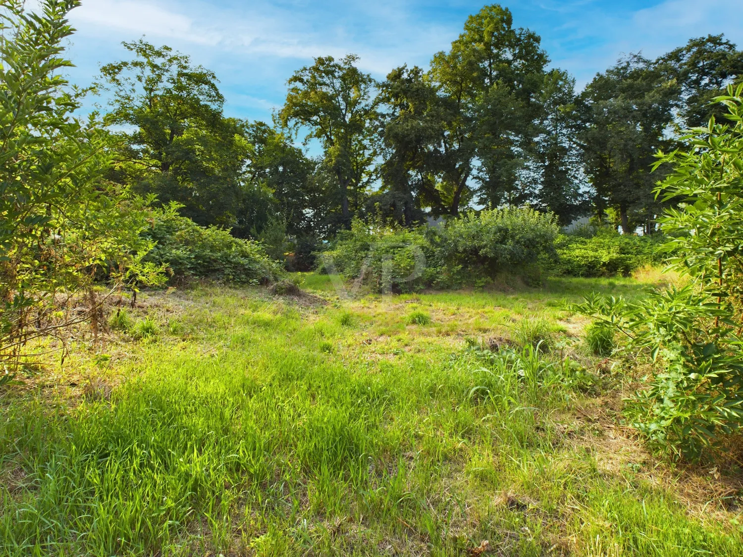 Exclusive semi-detached house in a prime location – Living at Schönbusch