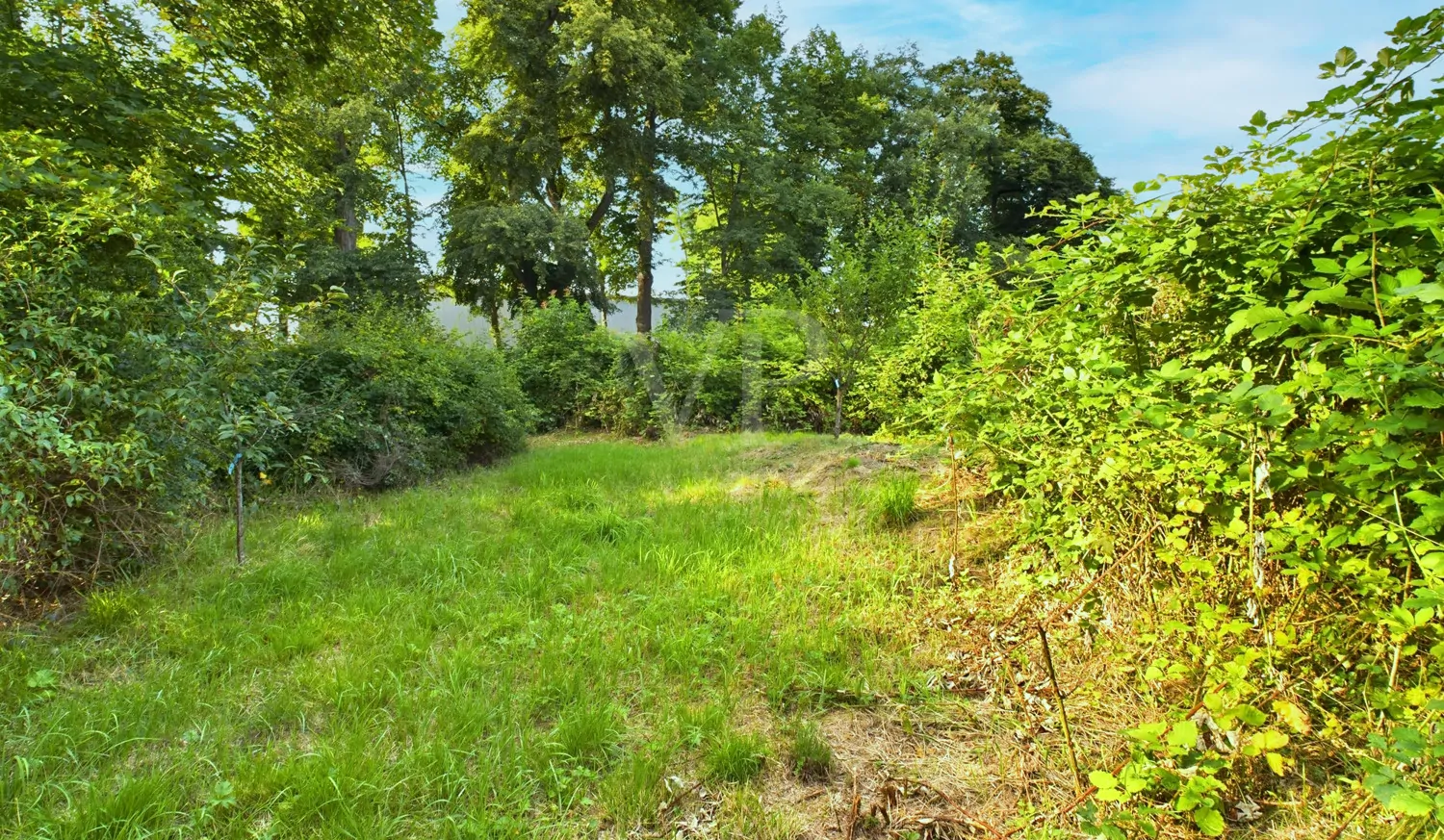 Exklusives Doppelhaus in Bestlage – Wohnen am Schönbusch