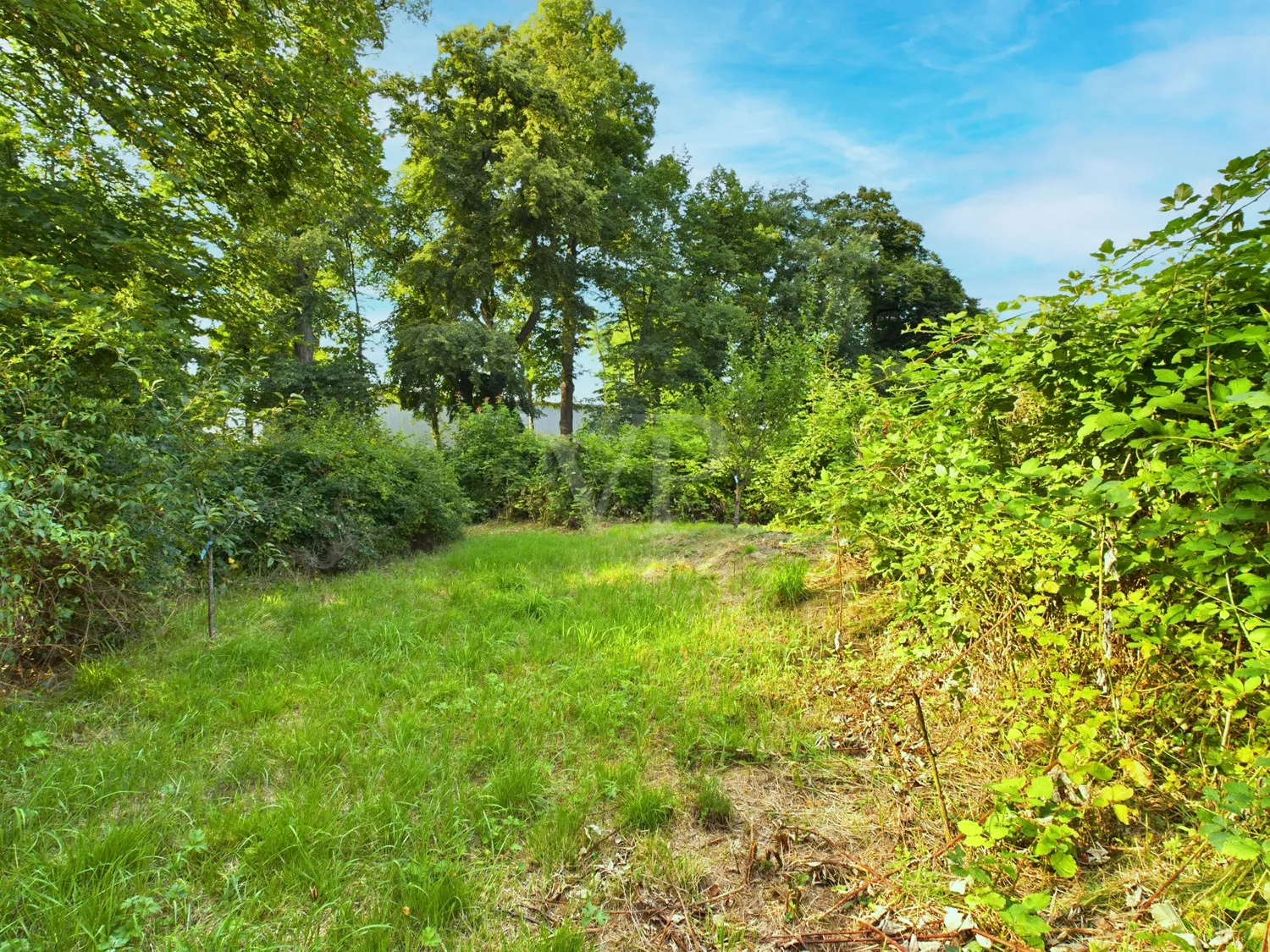 Exclusive semi-detached house in a prime location – Living at Schönbusch