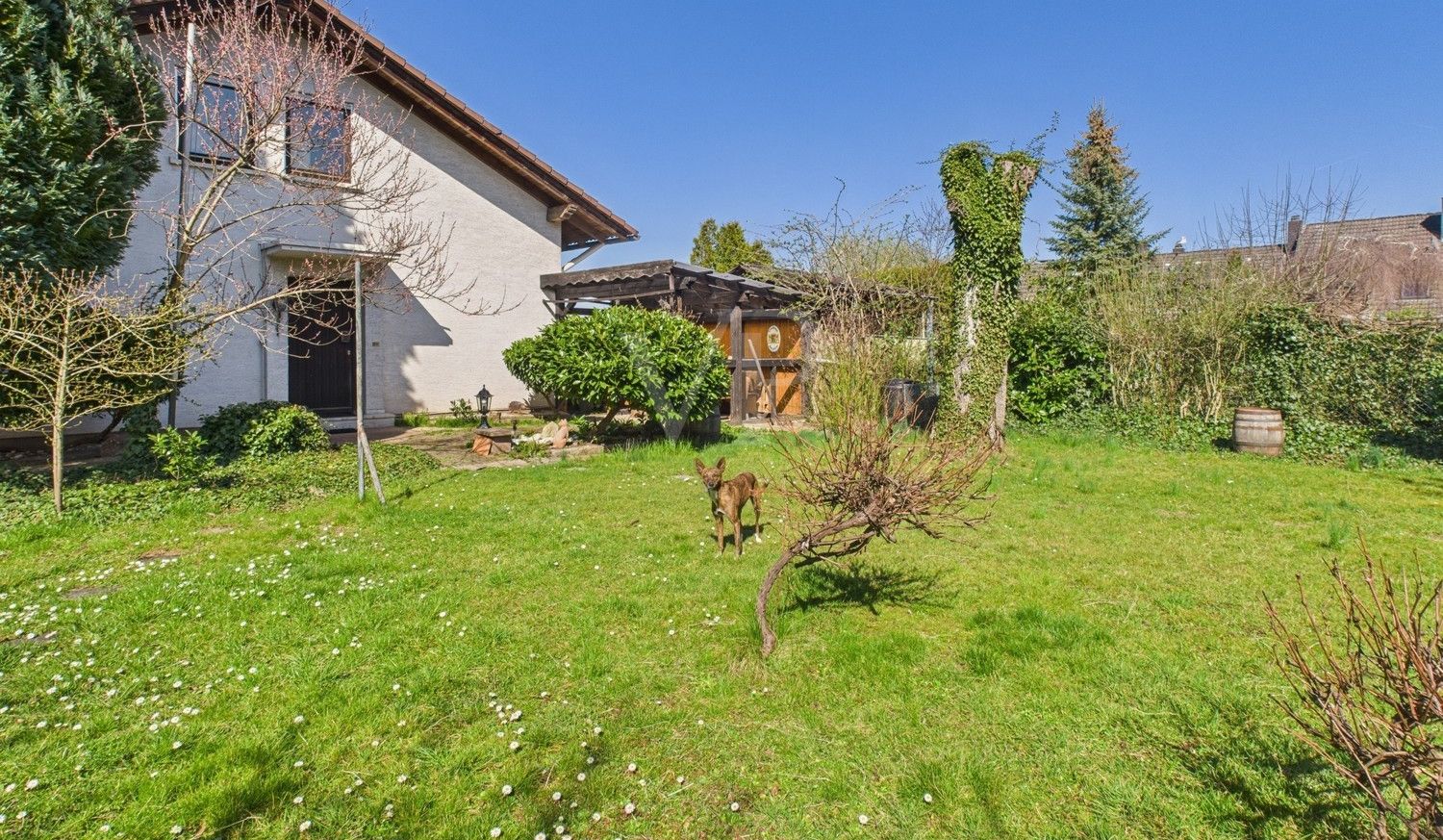 Gartenfläche