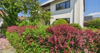 von_poll_real_estate_property_25007026_image_7