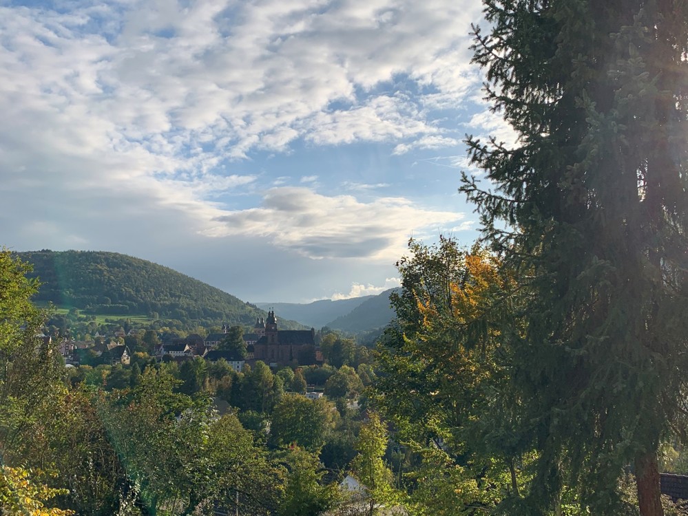 Impressionen Terasse-Südblick über Amorbach