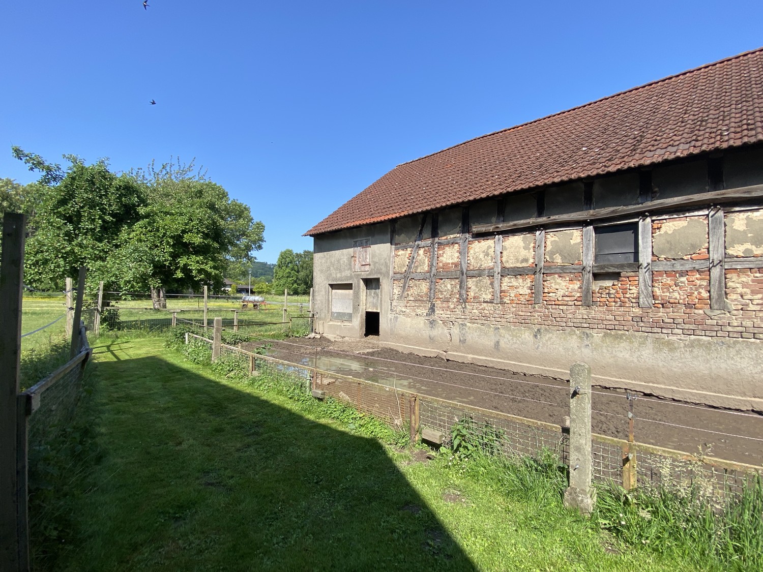 Stall und Auslauf
