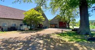 von_poll_real_estate_property_25183024_image_4