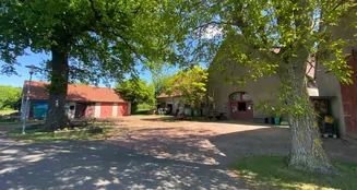 von_poll_real_estate_property_25183024_image_5