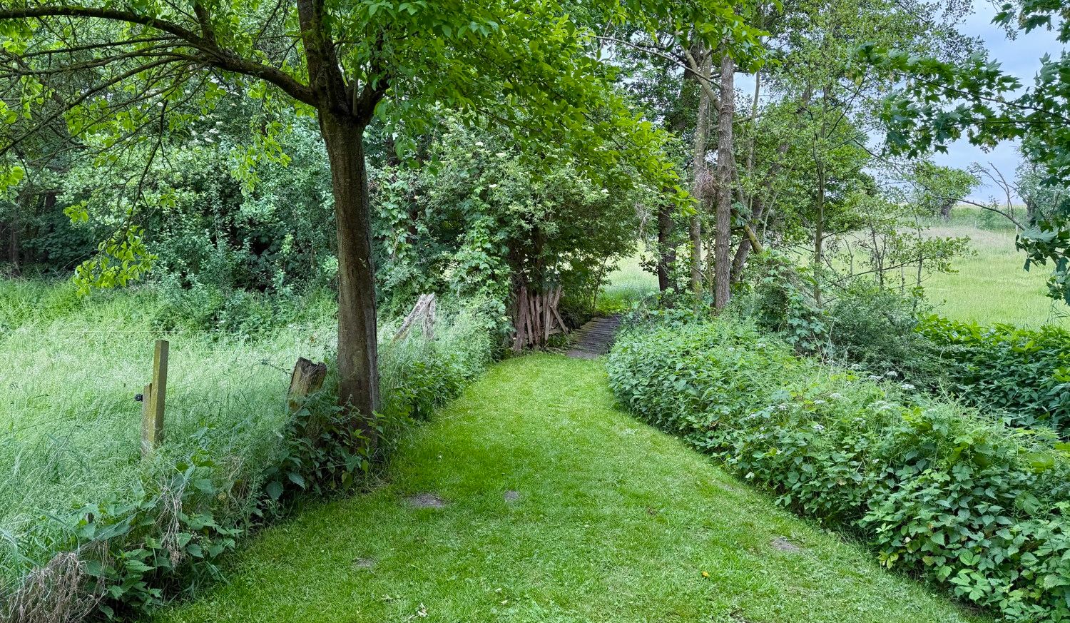 Brücke zur Weide