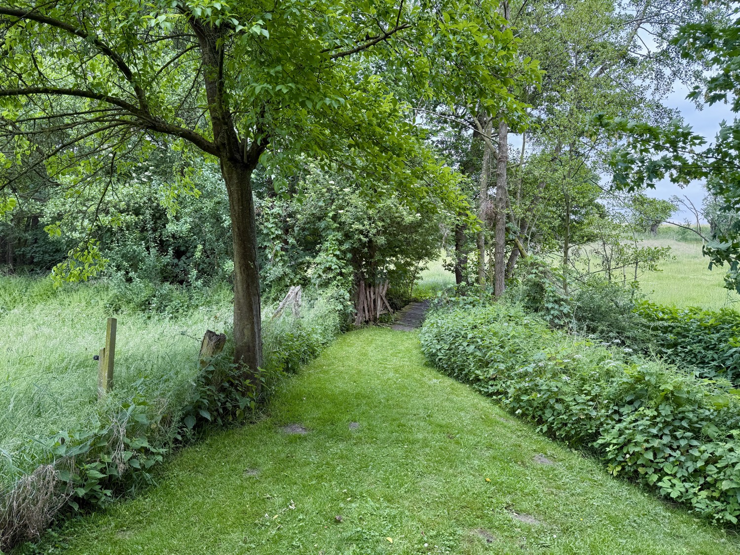 Brücke zur Weide