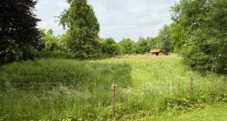 von_poll_real_estate_property_25183040_image_6